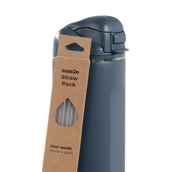 Ease2o Straws 4 Pack 24oz D4
